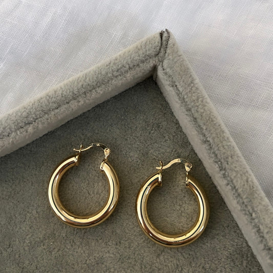 Holly hoops