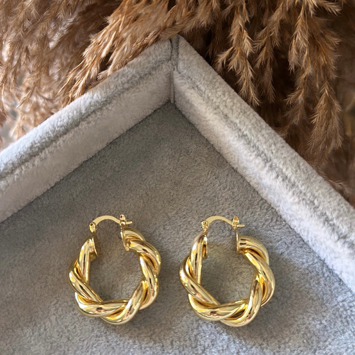 Ann hoops